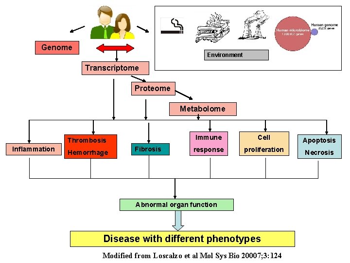 Genome Environment Transcriptome Proteome Metabolome Thrombosis Inflammation Hemorrhage Fibrosis Immune Cell Apoptosis response proliferation