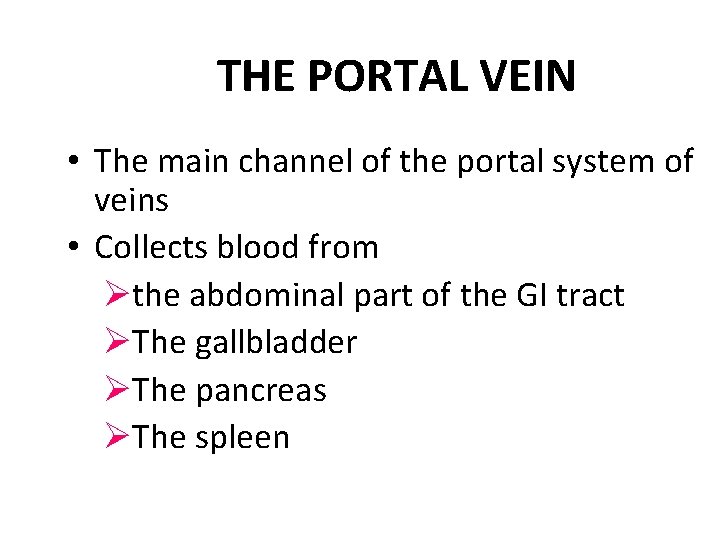 THE PORTAL VEIN • The main channel of the portal system of veins •
