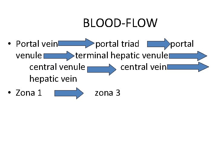 BLOOD-FLOW • Portal vein portal triad portal venule terminal hepatic venule central vein hepatic