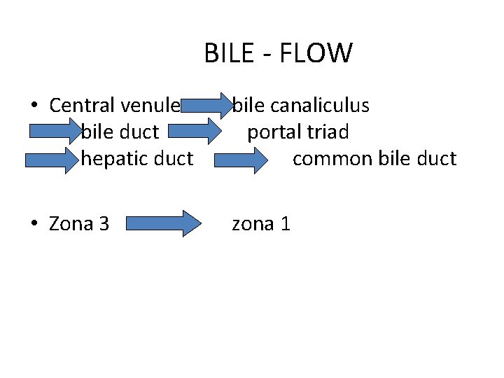 BILE - FLOW • Central venule bile duct hepatic duct bile canaliculus portal triad