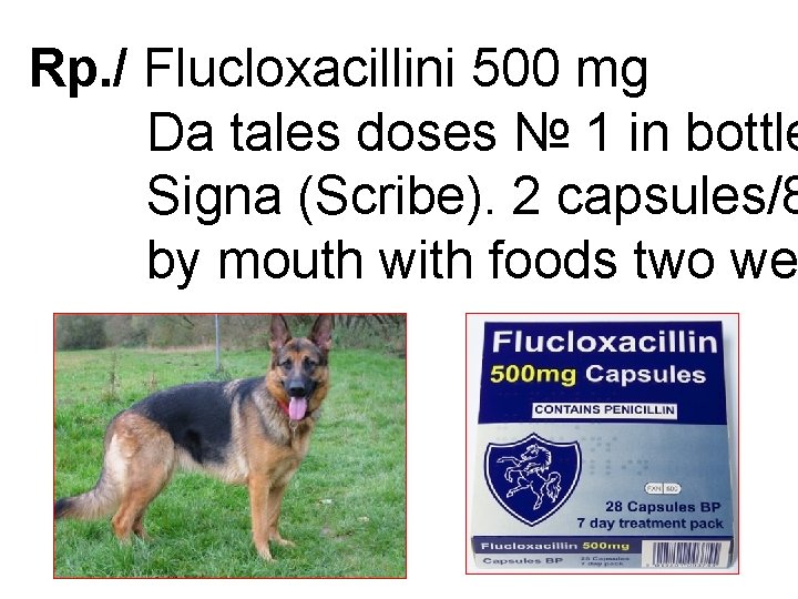 Rp. / Flucloxacillini 500 mg Da tales doses № 1 in bottle Signa (Scribe).