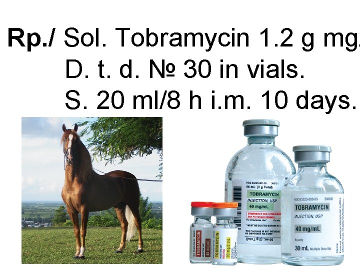 Rp. / Sol. Tobramycin 1. 2 g mg/ D. t. d. № 30 in
