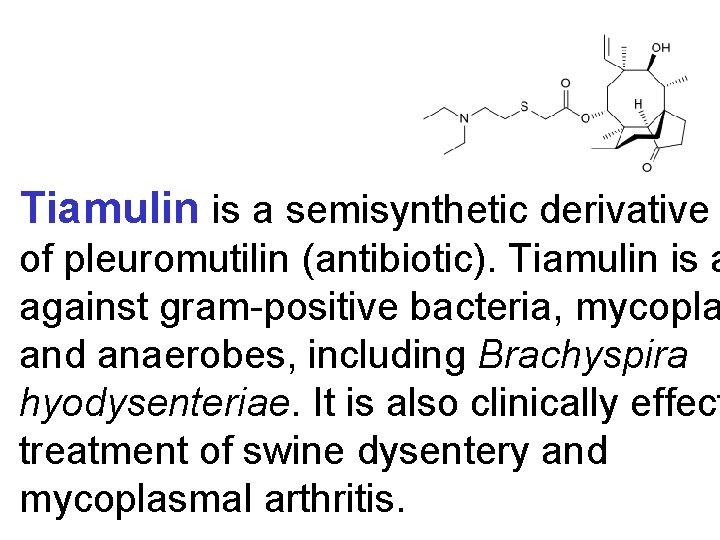 Tiamulin is a semisynthetic derivative of pleuromutilin (antibiotic). Tiamulin is a against gram-positive bacteria,