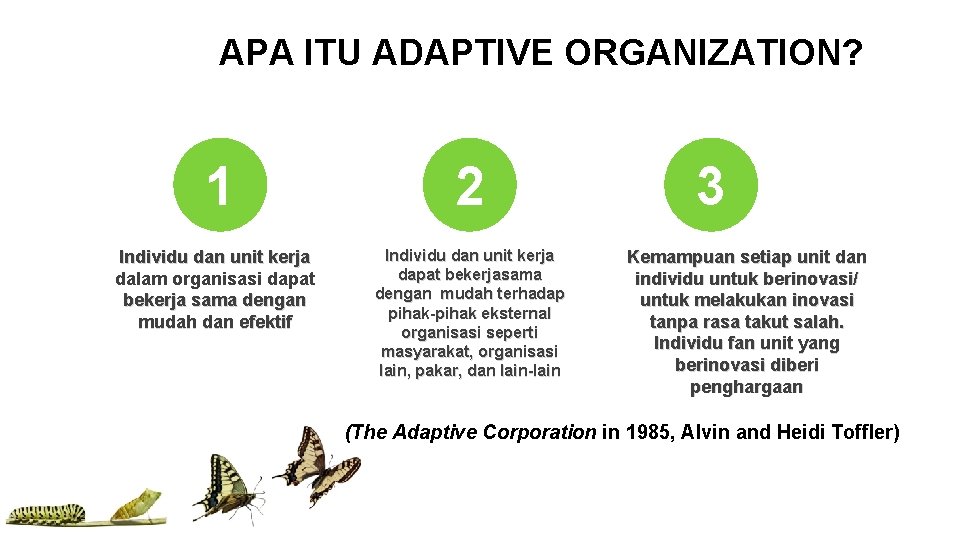 APA ITU ADAPTIVE ORGANIZATION? 1 Individu dan unit kerja dalam organisasi dapat bekerja sama