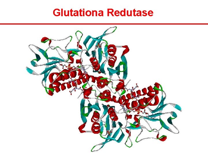 Glutationa Redutase 