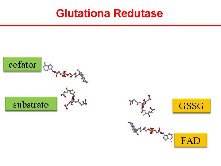 Glutationa Redutase cofator substrato GSSG FAD 