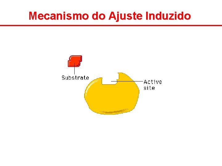 Mecanismo do Ajuste Induzido 