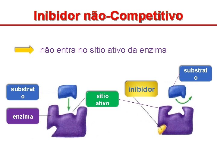 Inibidor não-Competitivo não entra no sítio ativo da enzima substrat o enzima sítio ativo