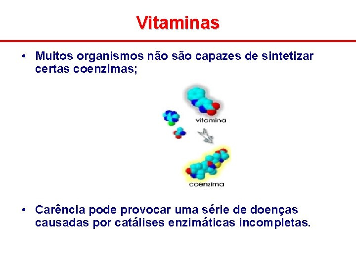 Vitaminas • Muitos organismos não são capazes de sintetizar certas coenzimas; • Carência pode