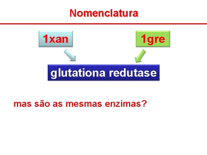 Nomenclatura 1 xan 1 gre glutationa redutase mas são as mesmas enzimas? 