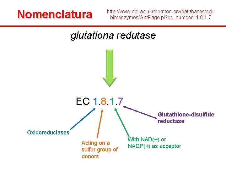 Nomenclatura http: //www. ebi. ac. uk/thornton-srv/databases/cgibin/enzymes/Get. Page. pl? ec_number=1. 8. 1. 7 glutationa redutase