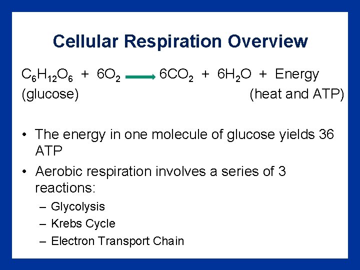 Cellular Respiration Overview C 6 H 12 O 6 + 6 O 2 (glucose)
