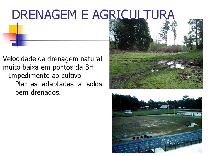 DRENAGEM E AGRICULTURA Velocidade da drenagem natural muito baixa em pontos da BH Impedimento