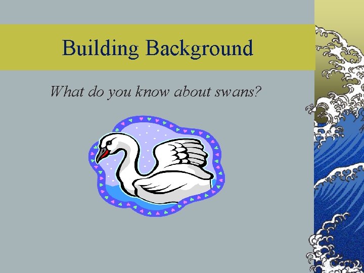Building Background What do you know about swans? 