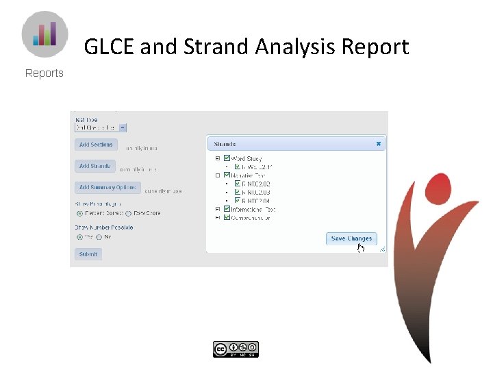 GLCE and Strand Analysis Report 