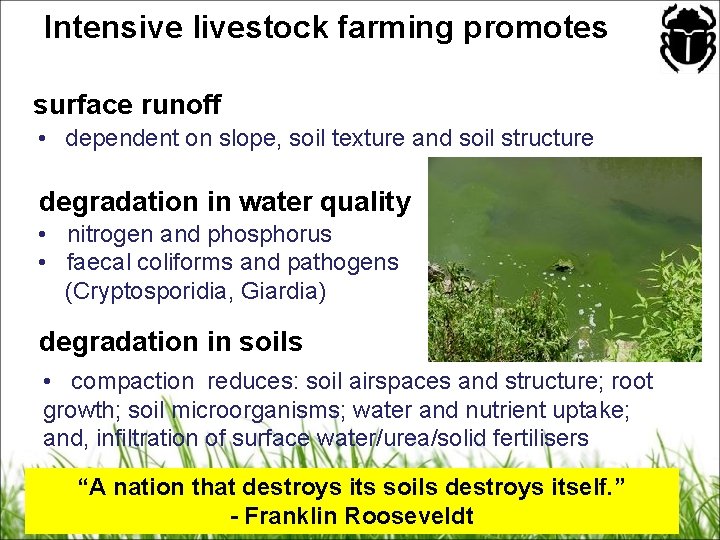 Intensive livestock farming promotes surface runoff • dependent on slope, soil texture and soil