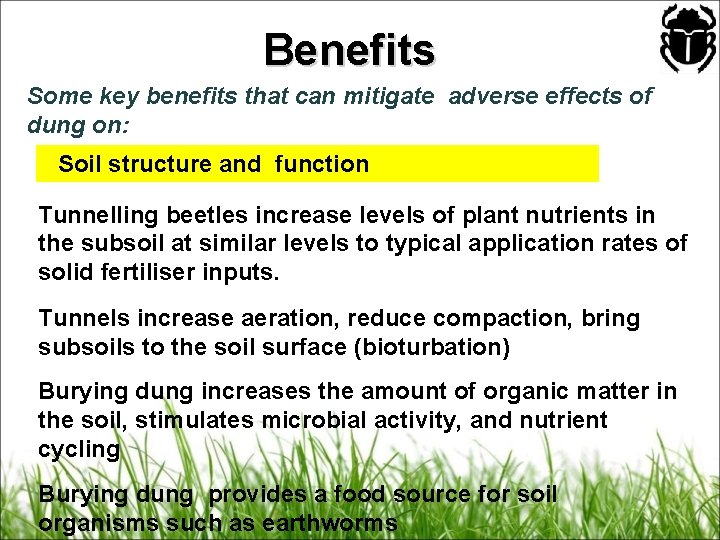 Benefits Some key benefits that can mitigate adverse effects of dung on: Soil structure