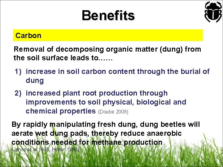 Benefits Carbon Removal of decomposing organic matter (dung) from the soil surface leads to……
