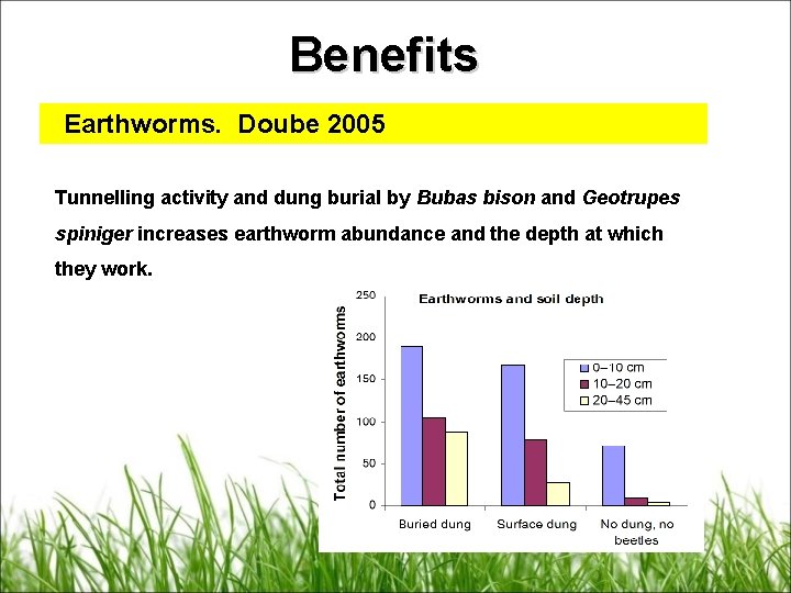 Benefits Earthworms. Doube 2005 Tunnelling activity and dung burial by Bubas bison and Geotrupes
