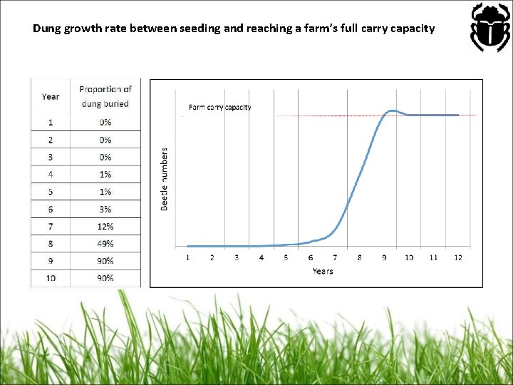 Dung growth rate between seeding and reaching a farm’s full carry capacity 