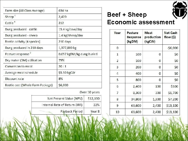 Beef + Sheep Economic assessment 