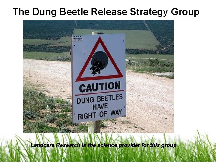 The Dung Beetle Release Strategy Group Landcare Research is the science provider for this