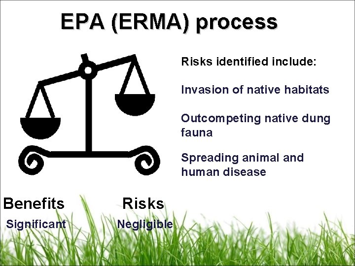 EPA (ERMA) process Risks identified include: Invasion of native habitats Outcompeting native dung fauna