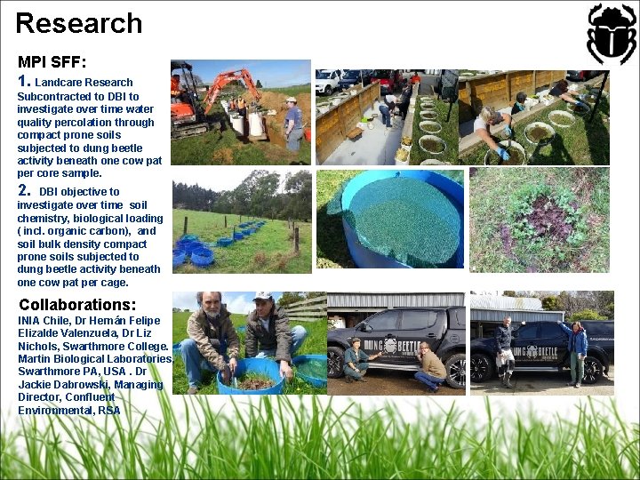 Research MPI SFF: 1. Landcare Research Subcontracted to DBI to investigate over time water