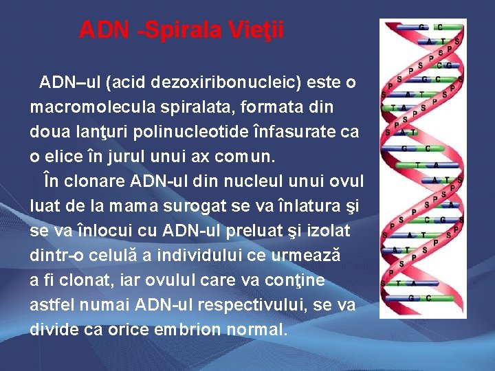 ADN -Spirala Vieţii ADN–ul (acid dezoxiribonucleic) este o macromolecula spiralata, formata din doua lanţuri