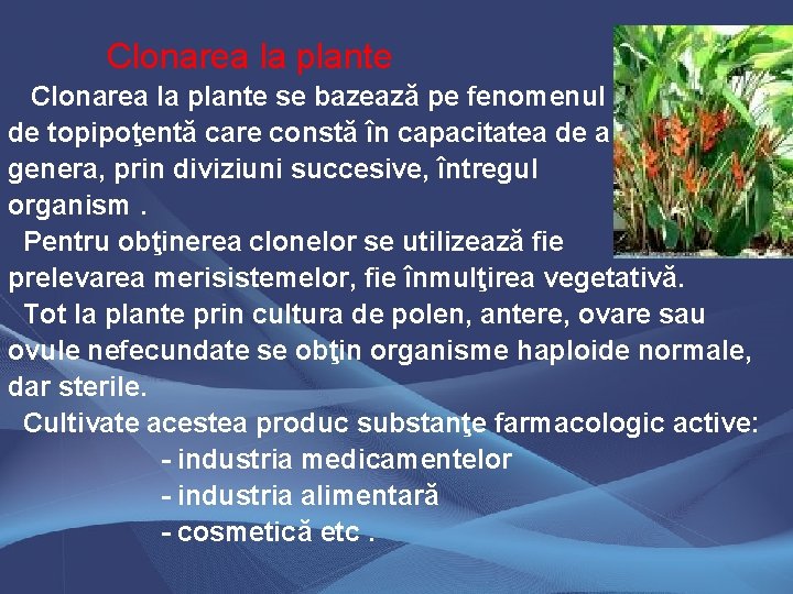 Clonarea la plante se bazează pe fenomenul de topipoţentă care constă în capacitatea de
