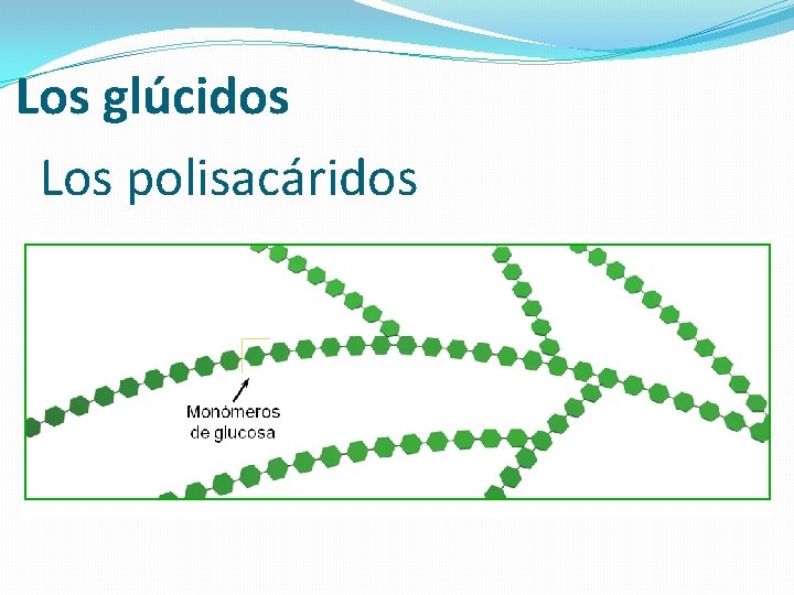 Los glúcidos Los polisacáridos 