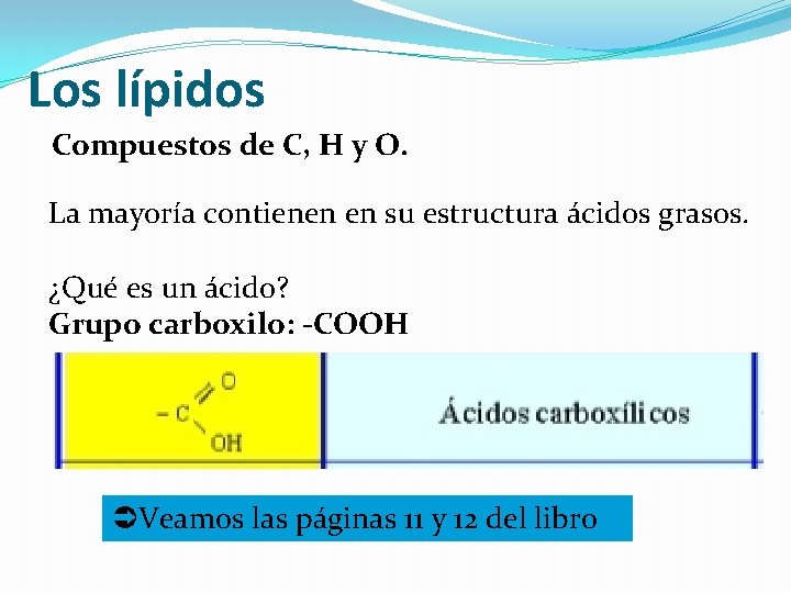 Los lípidos Compuestos de C, H y O. La mayoría contienen en su estructura