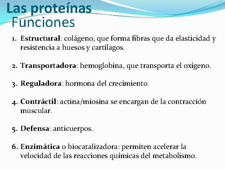 Las proteínas Funciones 1. Estructural: colágeno, que forma fibras que da elasticidad y resistencia