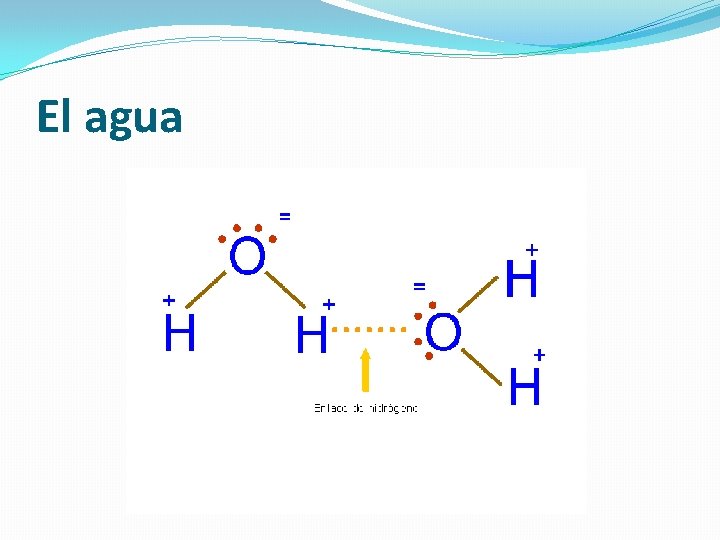 El agua 