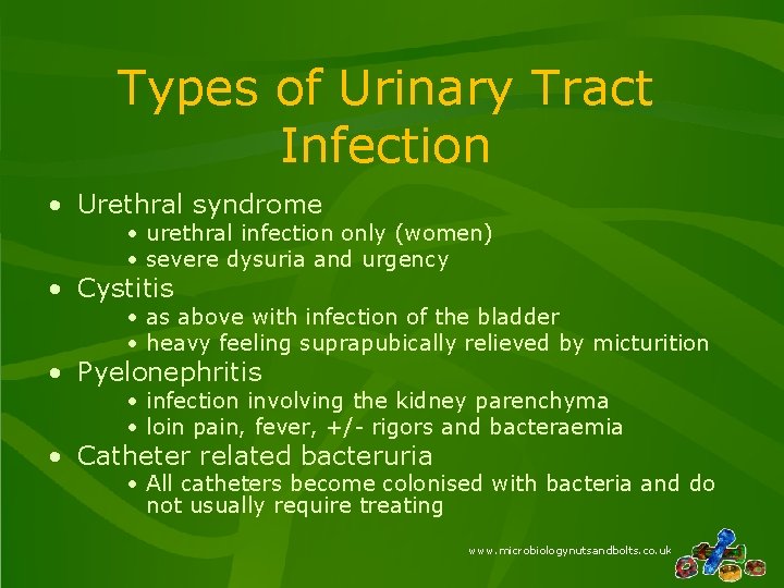 Types of Urinary Tract Infection • Urethral syndrome • urethral infection only (women) •