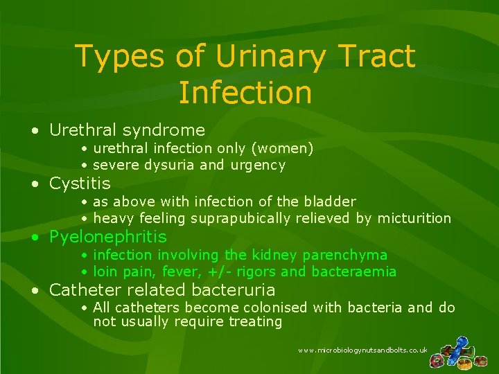 Types of Urinary Tract Infection • Urethral syndrome • urethral infection only (women) •