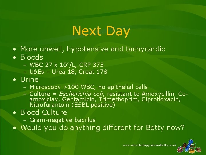 Next Day • More unwell, hypotensive and tachycardic • Bloods – WBC 27 x