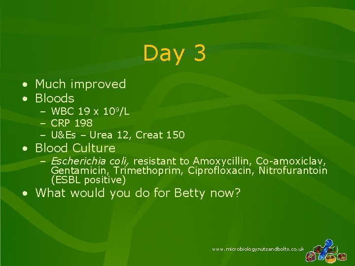 Day 3 • Much improved • Bloods – WBC 19 x 109/L – CRP