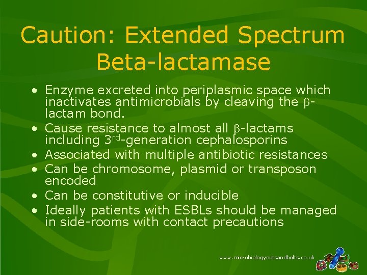 Caution: Extended Spectrum Beta-lactamase • Enzyme excreted into periplasmic space which inactivates antimicrobials by