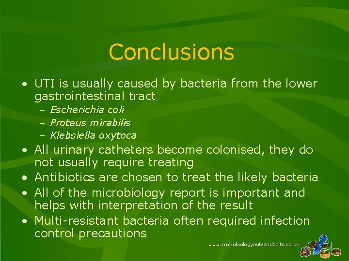 Conclusions • UTI is usually caused by bacteria from the lower gastrointestinal tract –