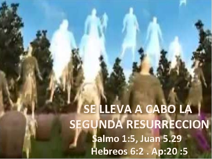 SE LLEVA A CABO LA SEGUNDA RESURRECCION Salmo 1: 5, Juan 5. 29 Hebreos