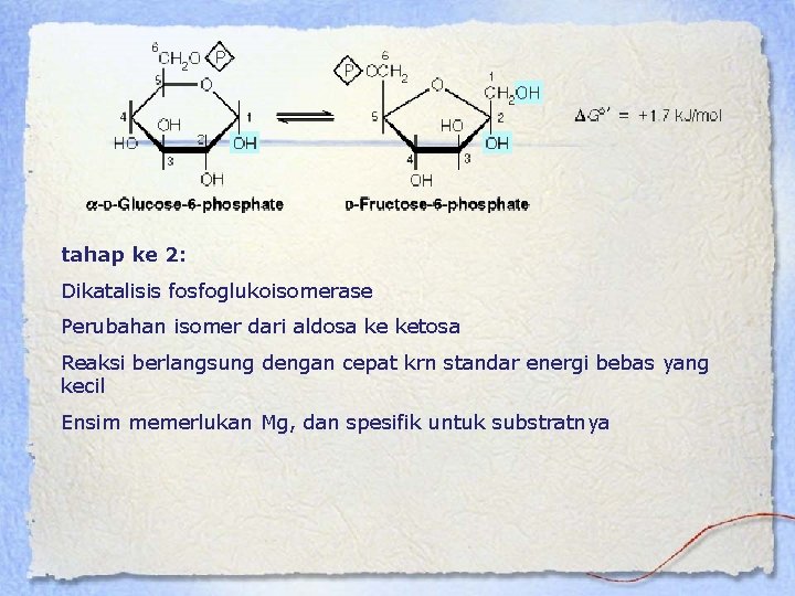 tahap ke 2: Dikatalisis fosfoglukoisomerase Perubahan isomer dari aldosa ke ketosa Reaksi berlangsung dengan