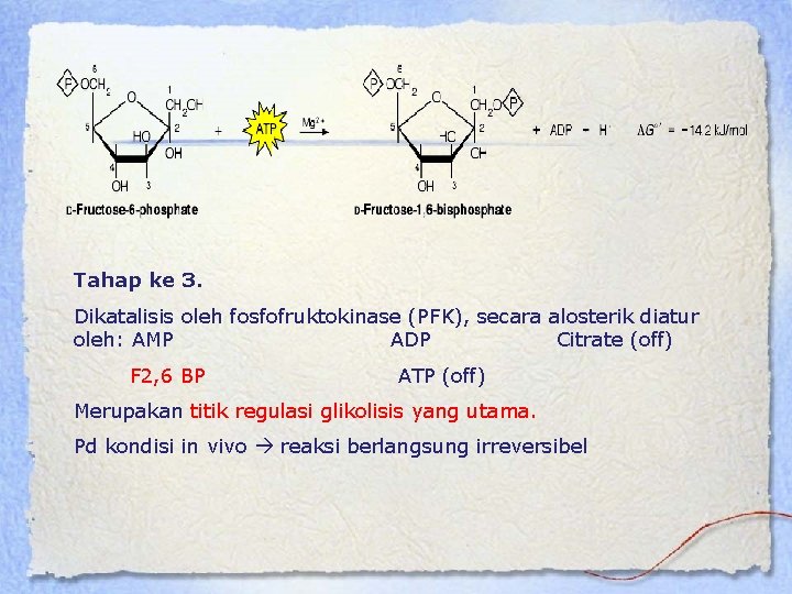 Tahap ke 3. Dikatalisis oleh fosfofruktokinase (PFK), secara alosterik diatur oleh: AMP ADP Citrate