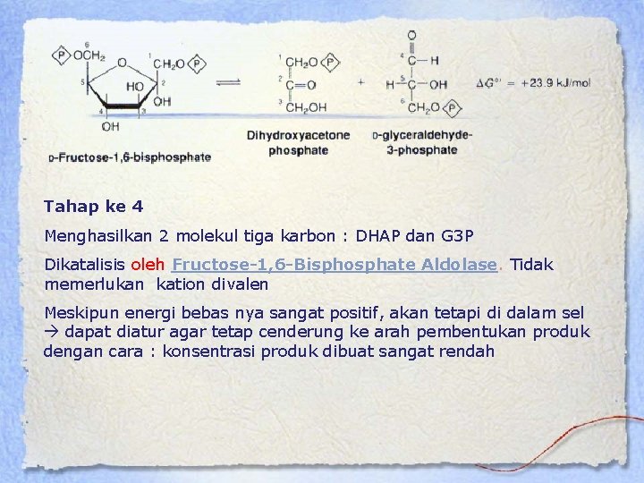 Tahap ke 4 Menghasilkan 2 molekul tiga karbon : DHAP dan G 3 P