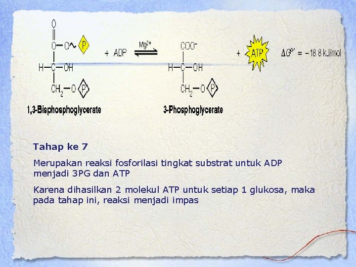 Tahap ke 7 Merupakan reaksi fosforilasi tingkat substrat untuk ADP menjadi 3 PG dan