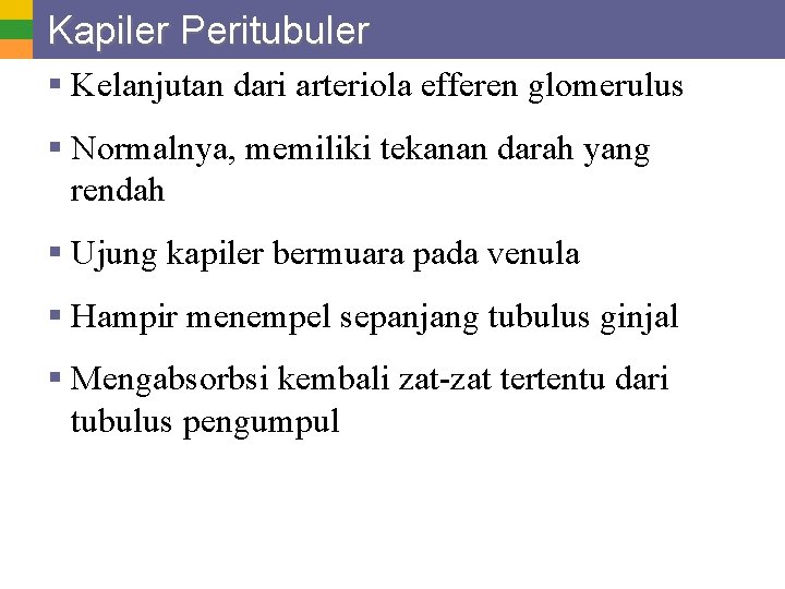 Kapiler Peritubuler § Kelanjutan dari arteriola efferen glomerulus § Normalnya, memiliki tekanan darah yang