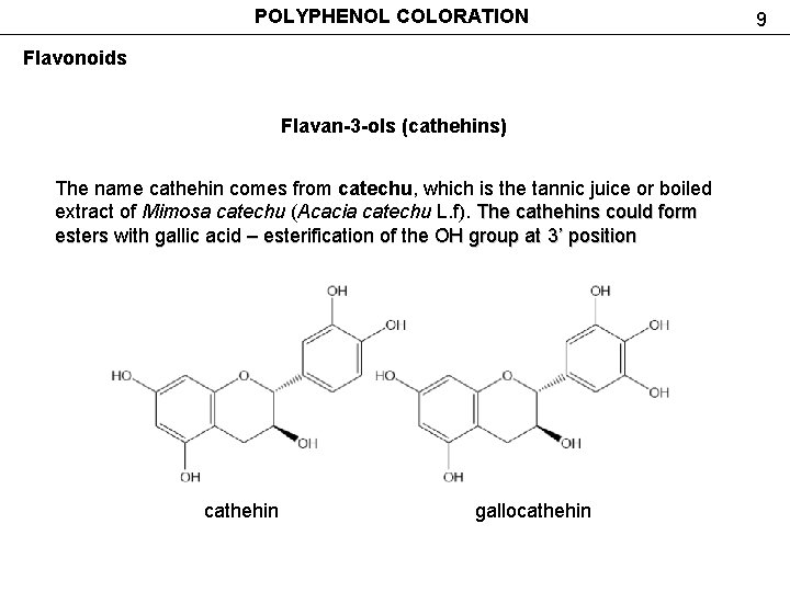 POLYPHENOL COLORATION Flavonoids Flavan-3 -ols (cathehins) The name cathehin comes from catechu, which is