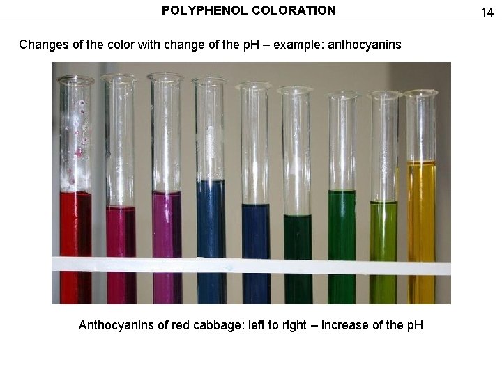 POLYPHENOL COLORATION Changes of the color with change of the p. H – example: