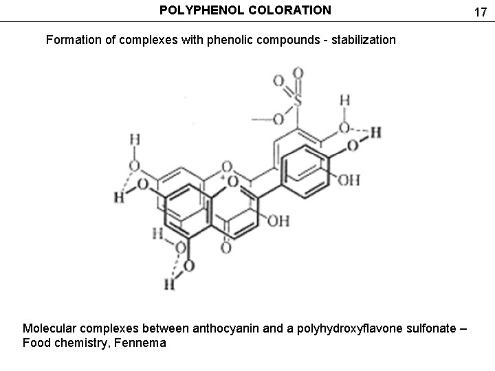 POLYPHENOL COLORATION Formation of complexes with phenolic compounds - stabilization Molecular complexes between anthocyanin