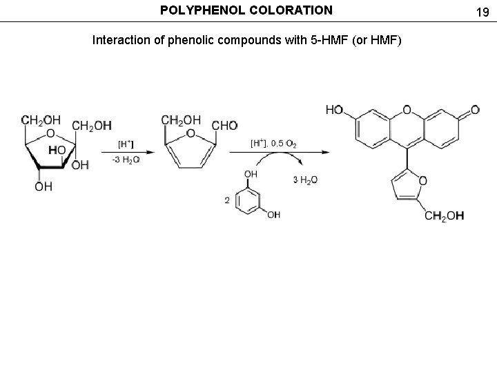 POLYPHENOL COLORATION Interaction of phenolic compounds with 5 -HMF (or HMF) 19 